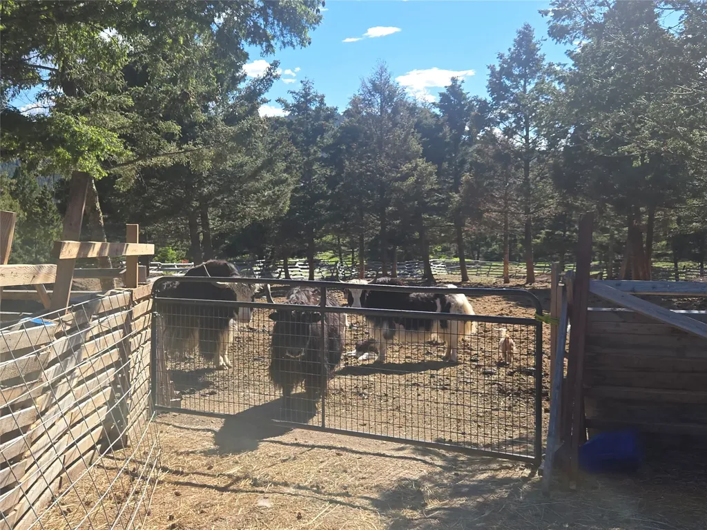 28 Muskrat Road Helmville MT 59843
