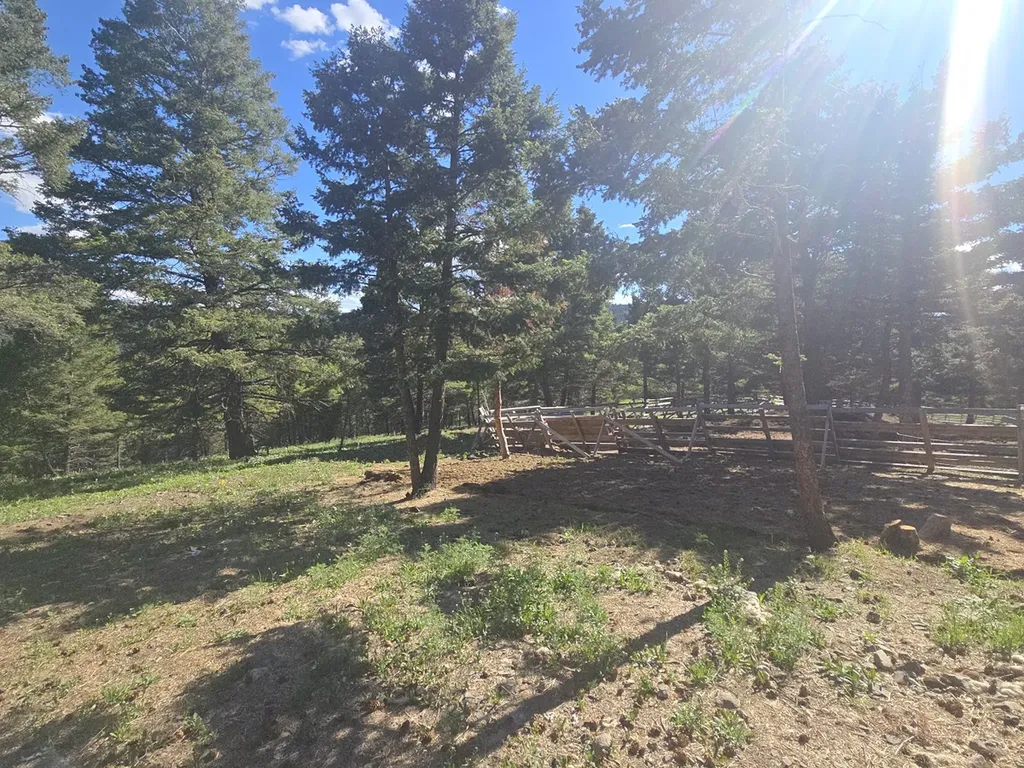 28 Muskrat Helmville MT 59843