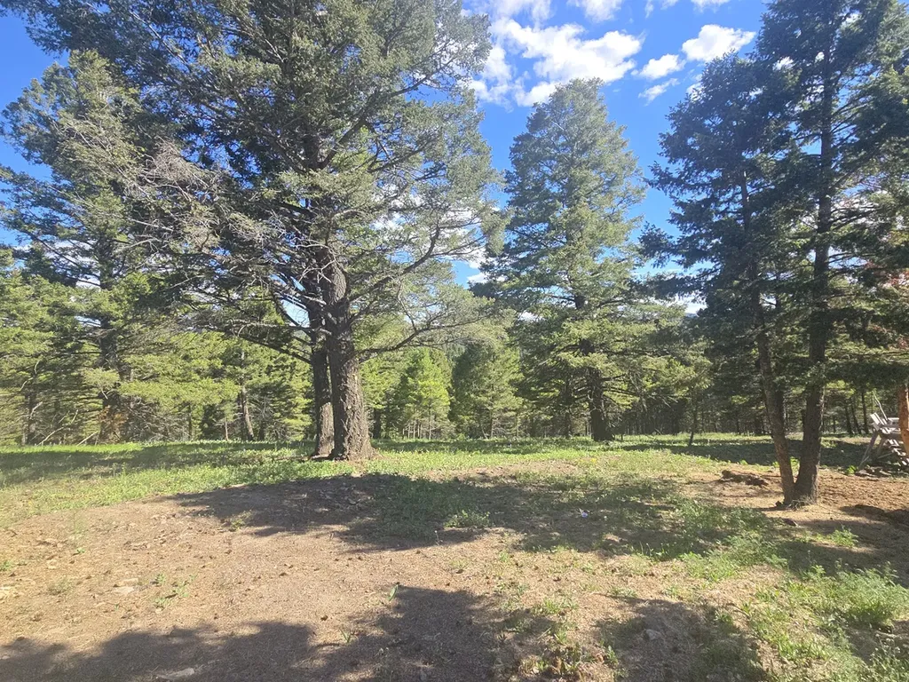 28 Muskrat Road Helmville MT 59843
