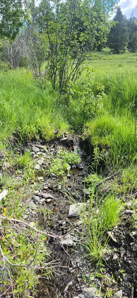28 Muskrat Road Helmville MT 59843