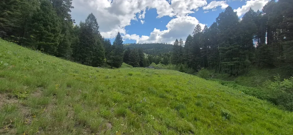 28 Muskrat Road Helmville MT 59843