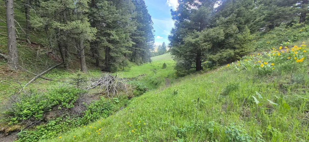 28 Muskrat Road Helmville MT 59843