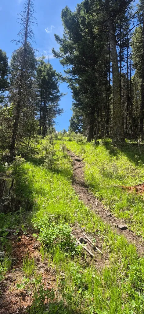 28 Muskrat Road Helmville MT 59843