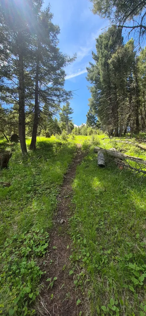 28 Muskrat Road Helmville MT 59843