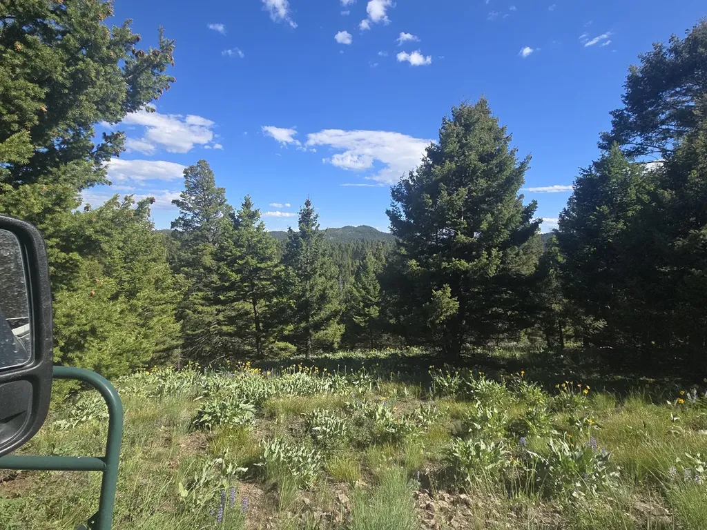 28 Muskrat Helmville MT 59843