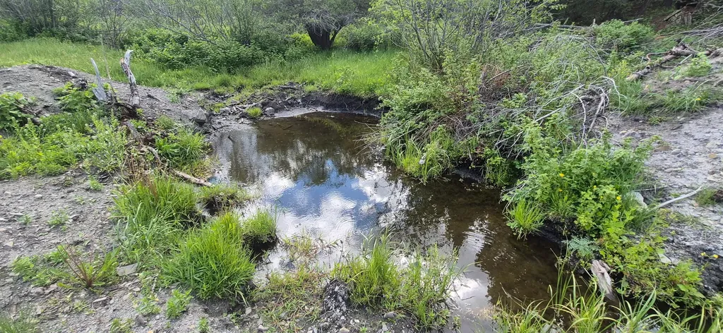 28 Muskrat Road Helmville MT 59843