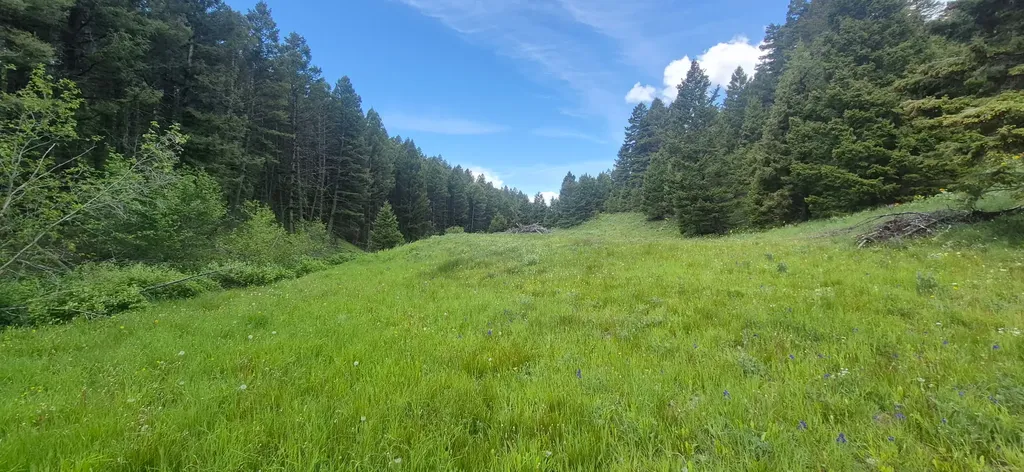 28 Muskrat Road Helmville MT 59843