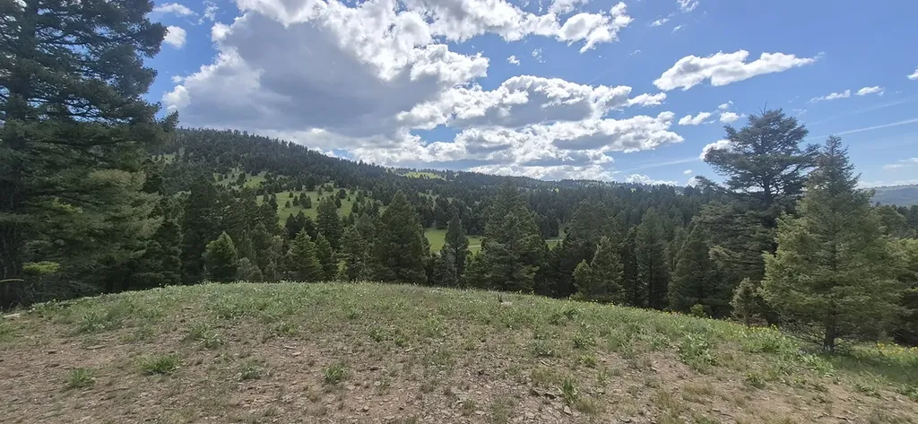 28 Muskrat Helmville MT 59843