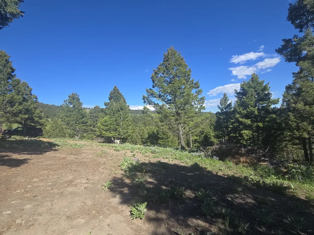28 Muskrat Road Helmville MT 59843
