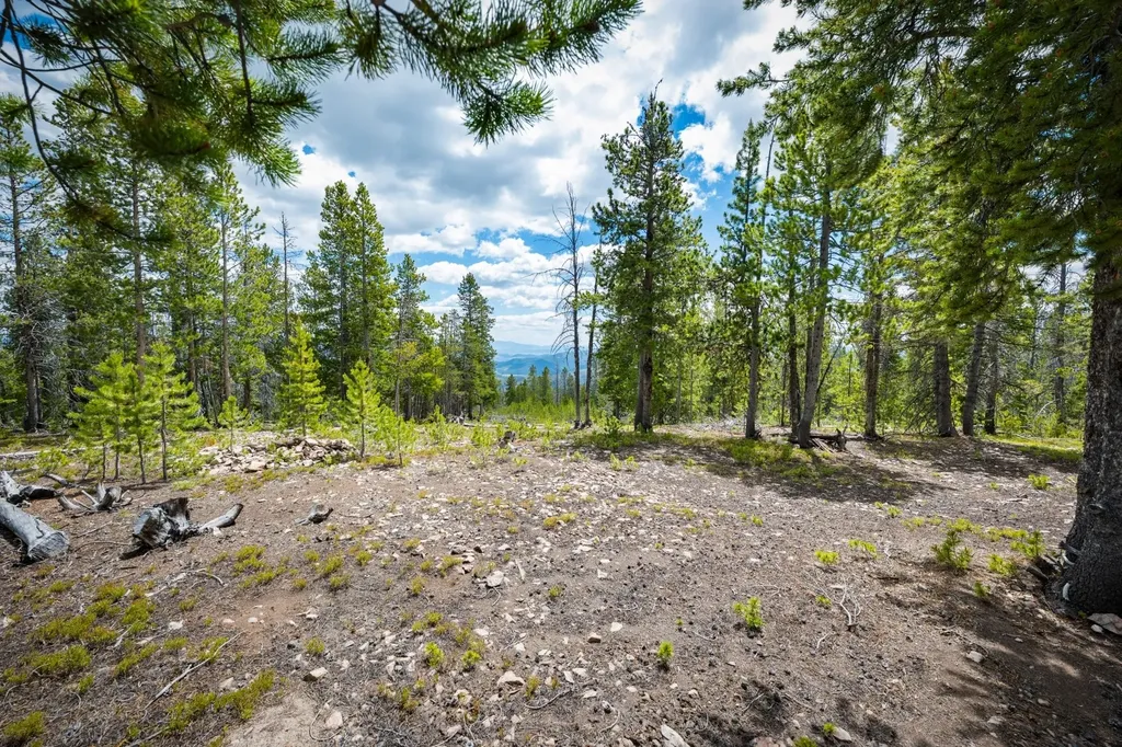Nhn Rosa Trail Anaconda MT 59711