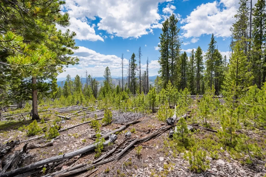 Nhn Rosa Trail Anaconda MT 59711