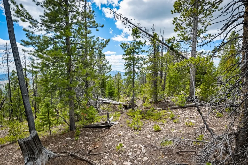 Nhn Rosa Trail Anaconda MT 59711