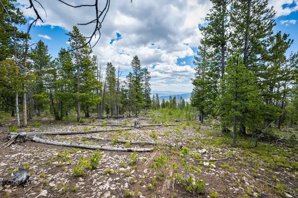 Nhn Rosa Trail Anaconda MT 59711