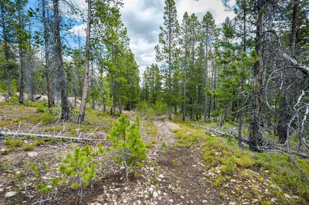 Nhn Rosa Trail Anaconda MT 59711