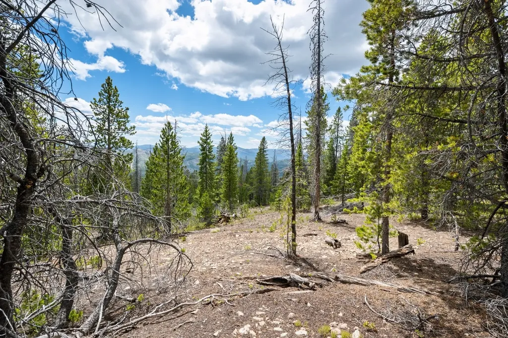 Nhn Rosa Trail Anaconda MT 59711