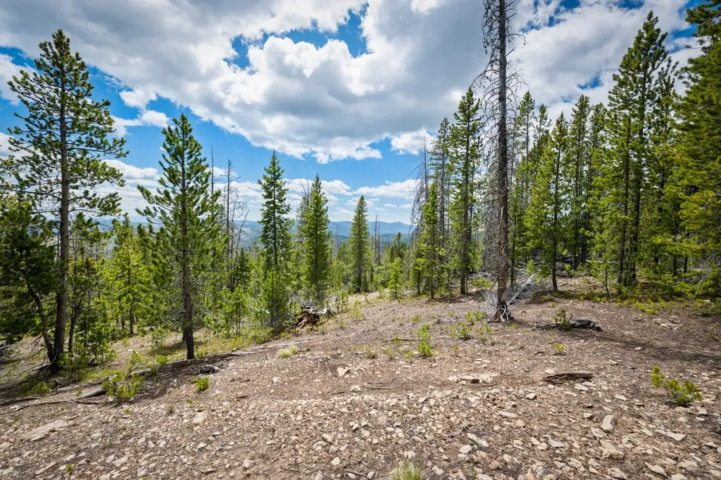 Nhn Rosa Trail Anaconda MT 59711