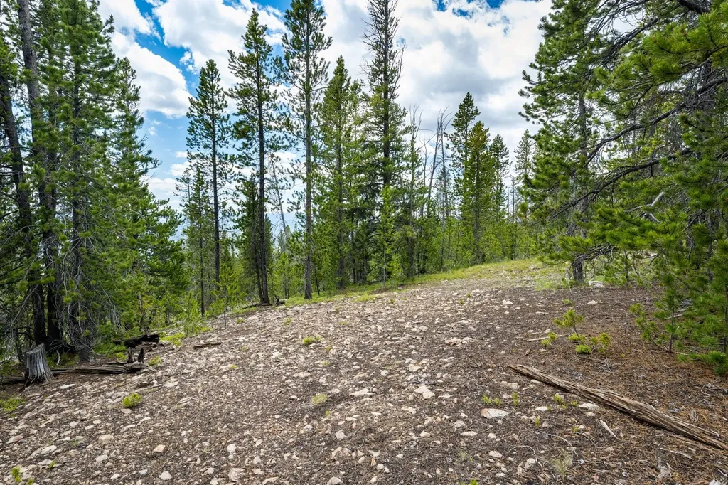 Nhn Rosa Trail Anaconda MT 59711