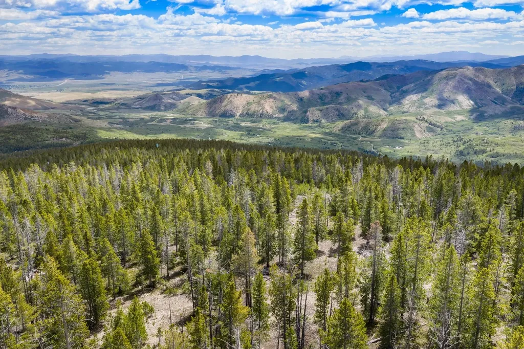 Nhn Rosa Trail Anaconda MT 59711