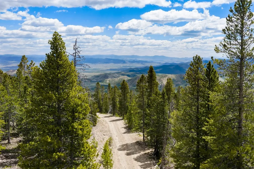 Nhn Rosa Trail Anaconda MT 59711