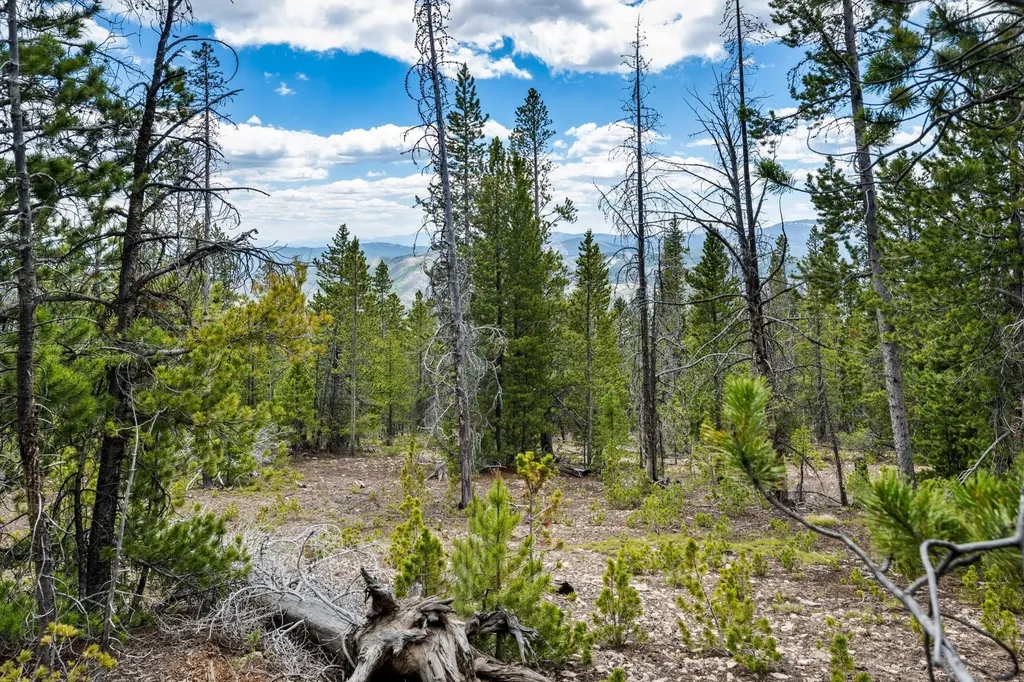 Nhn Rosa Trail Anaconda MT 59711