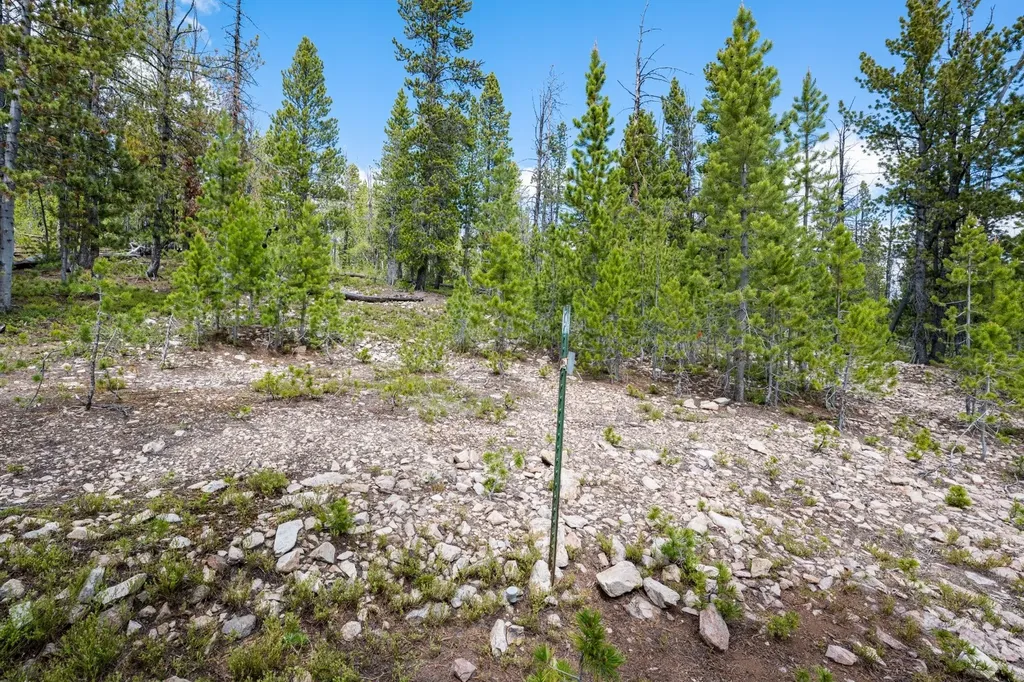 Nhn Rosa Trail Anaconda MT 59711