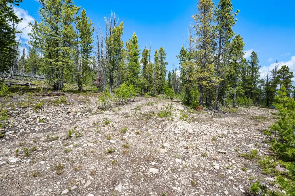 Nhn Rosa Trail Anaconda MT 59711