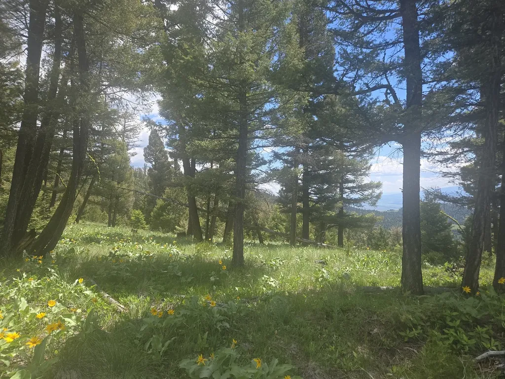 2 King Mount Road Drummond MT 59832