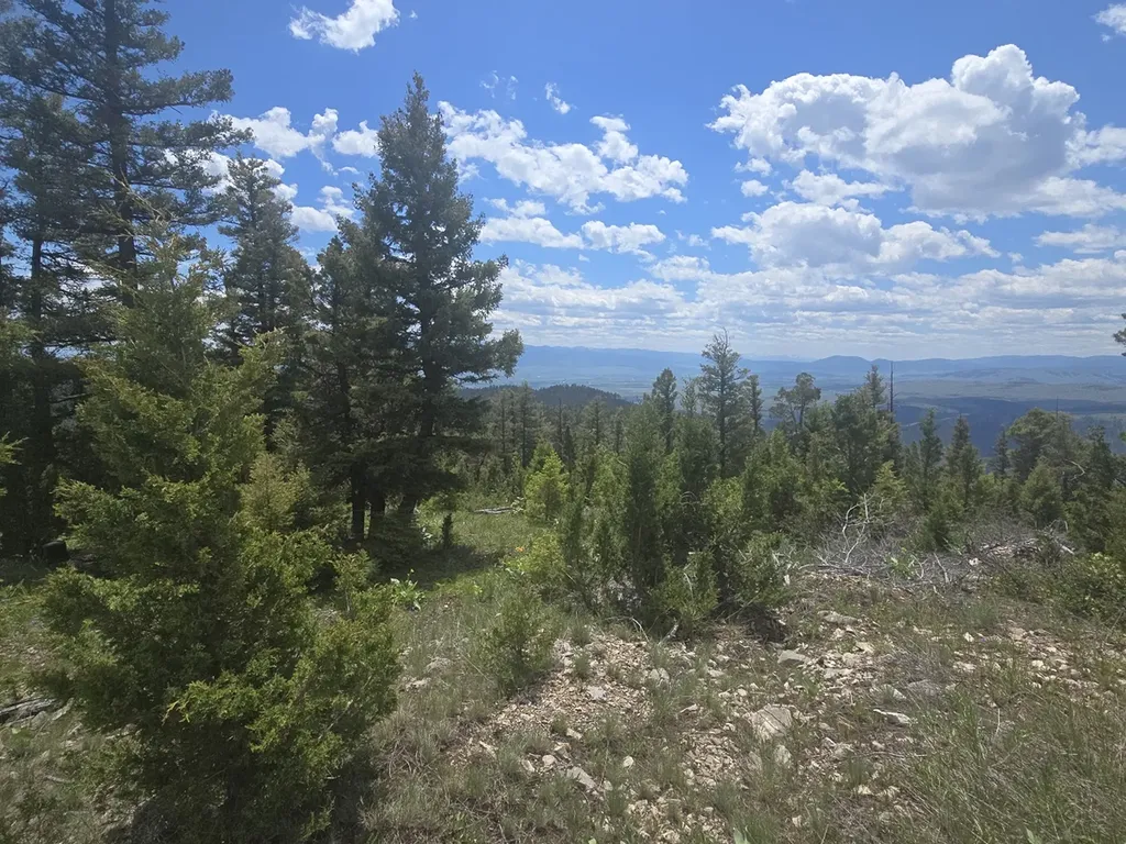 2 Big Sky Ridge Road Drummond MT 59832