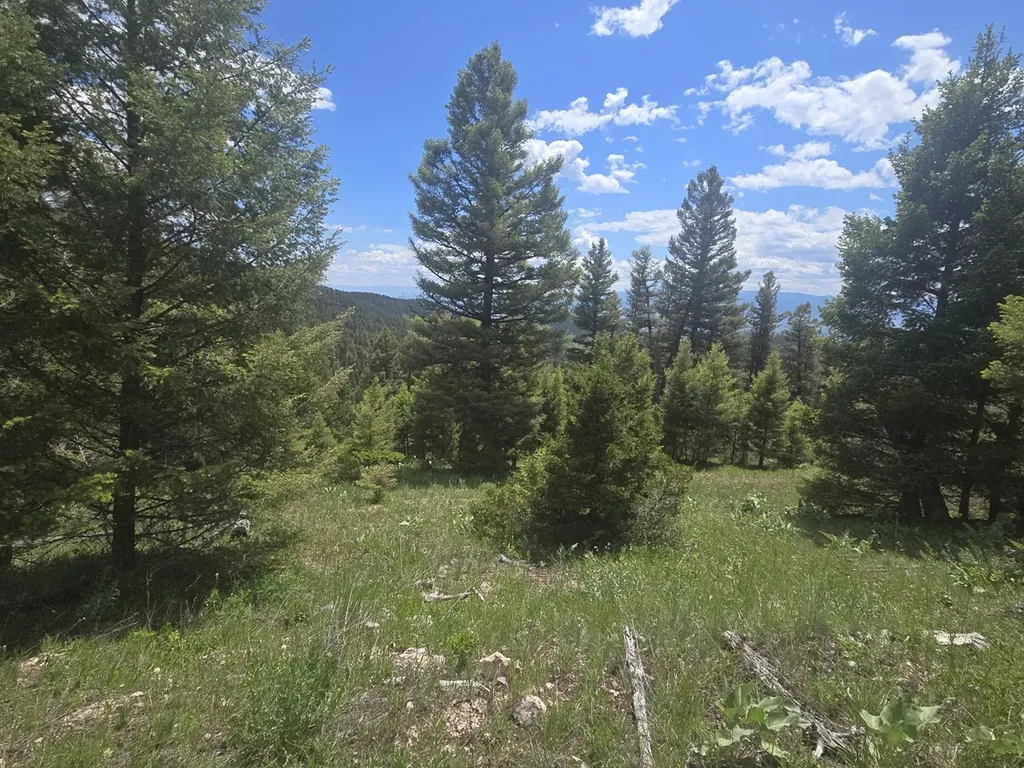 2 King Mount Road Drummond MT 59832