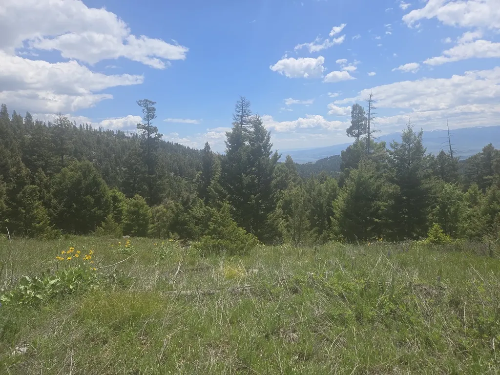 2 Big Sky Ridge Road Drummond MT 59832