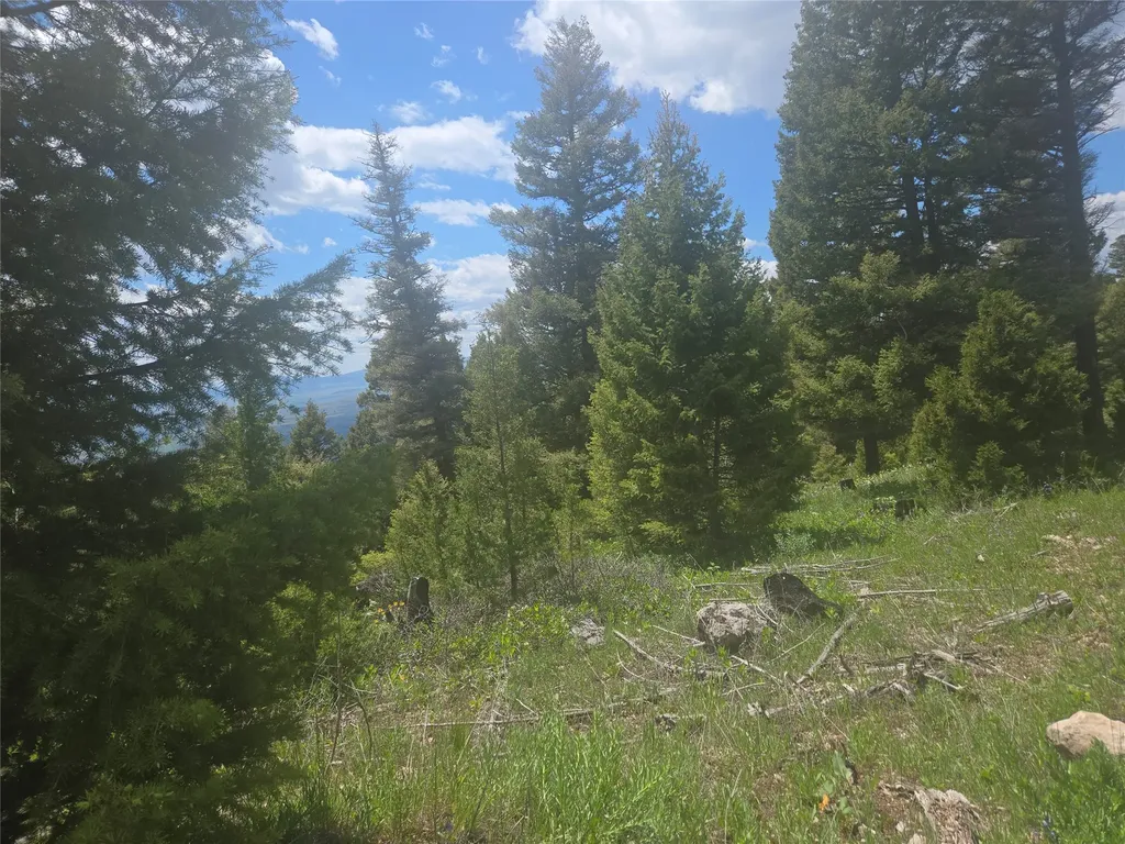 2 King Mount Road Drummond MT 59832