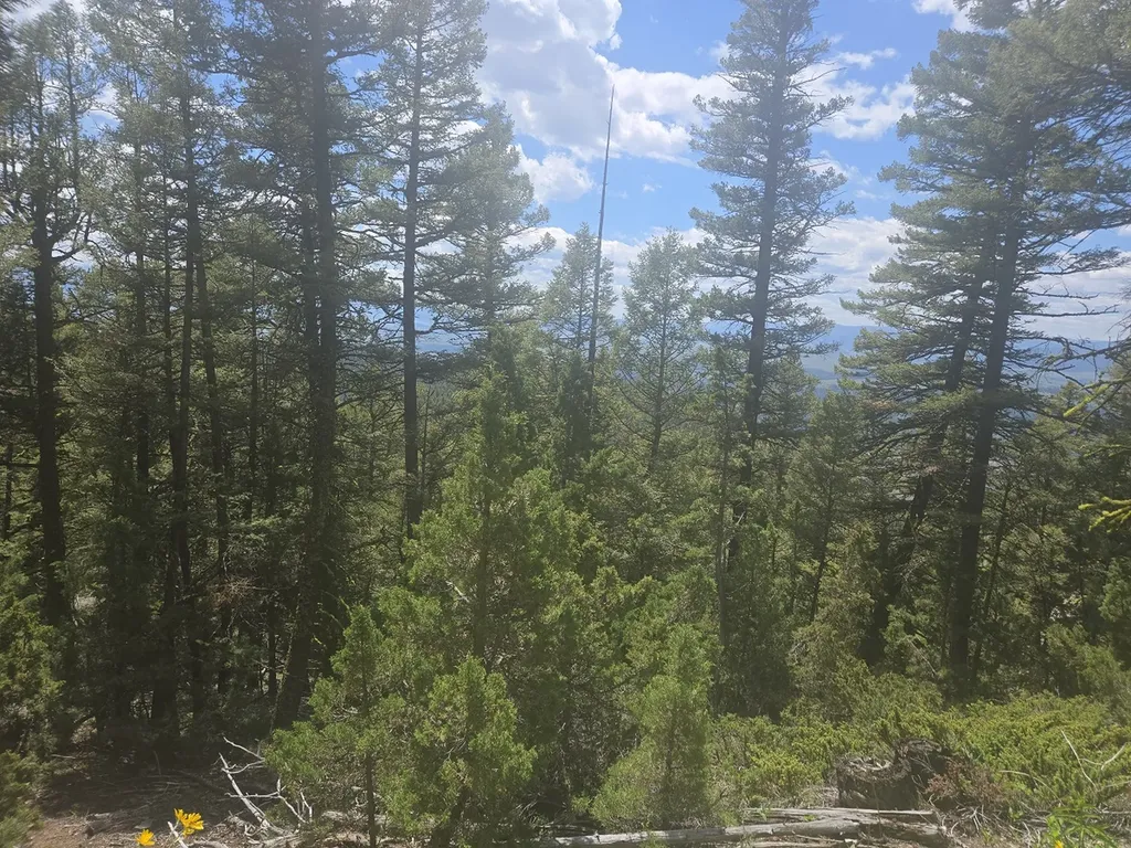 2 King Mount Road Drummond MT 59832