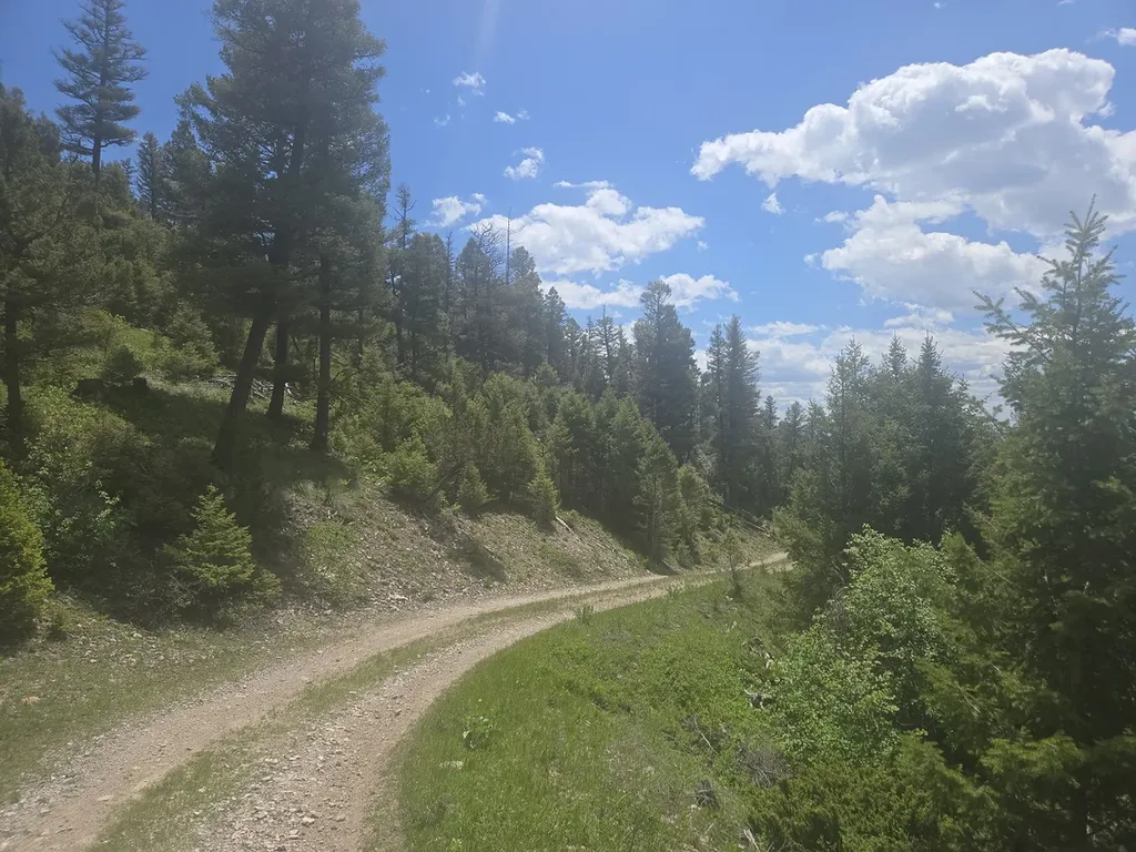 2 King Mount Road Drummond MT 59832