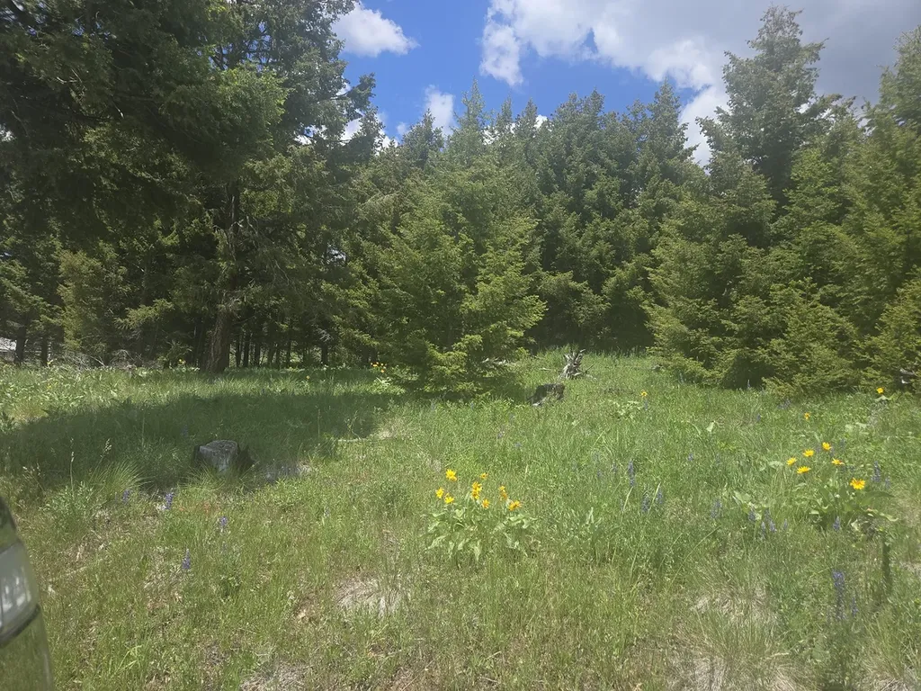 2 Big Sky Ridge Road Drummond MT 59832
