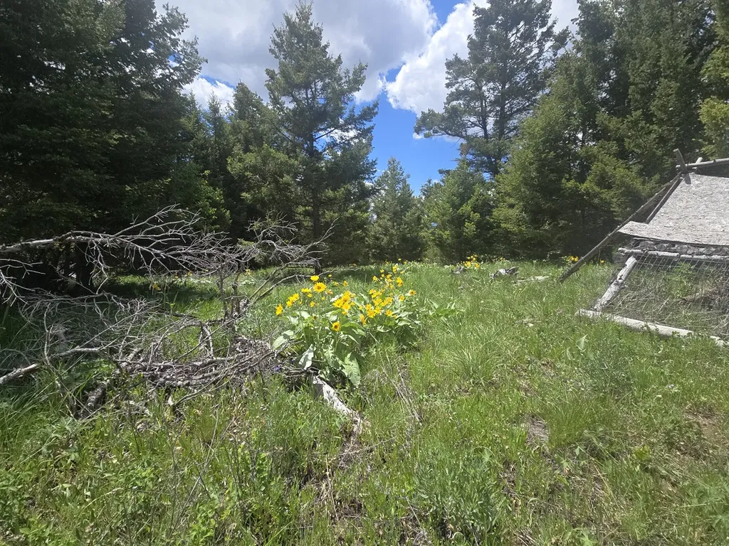 2 Big Sky Ridge Road Drummond MT 59832