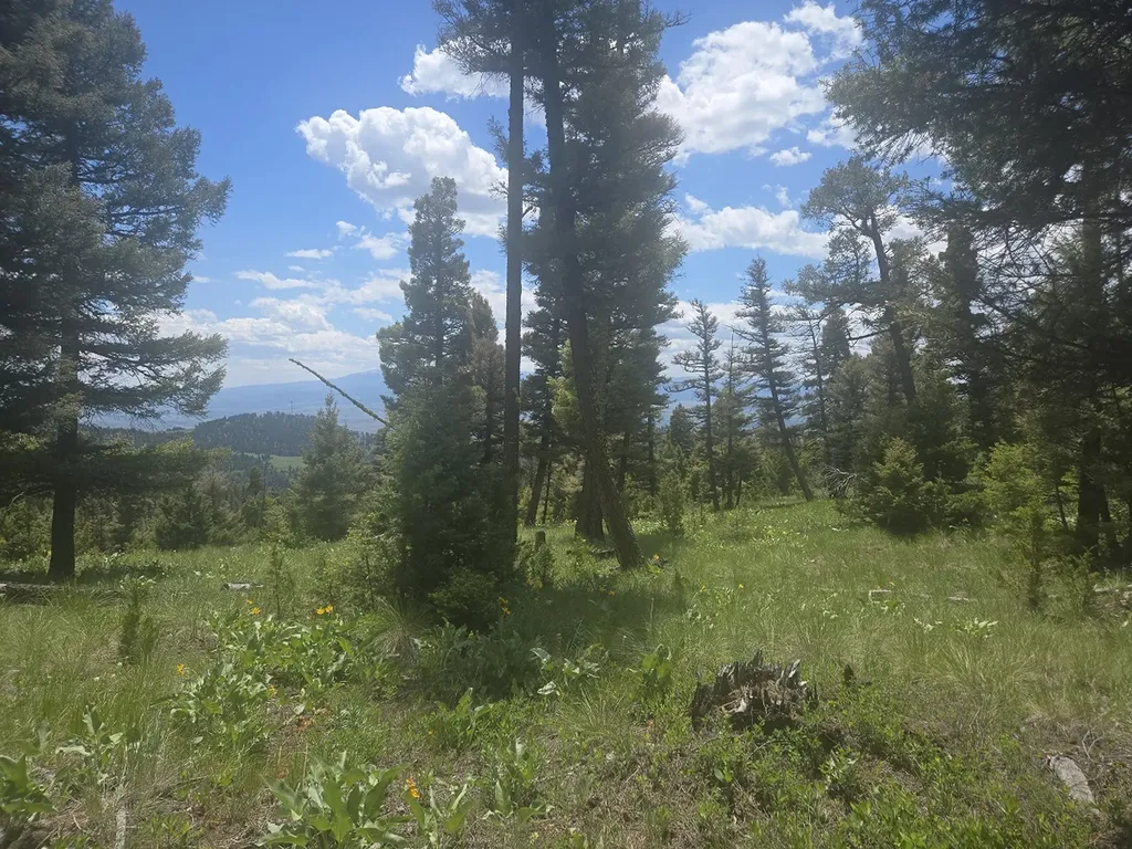 2 Big Sky Ridge Road Drummond MT 59832