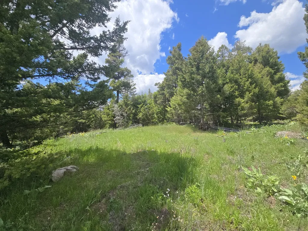 2 Big Sky Ridge Road Drummond MT 59832