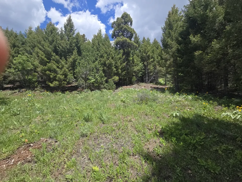 2 Big Sky Ridge Road Drummond MT 59832