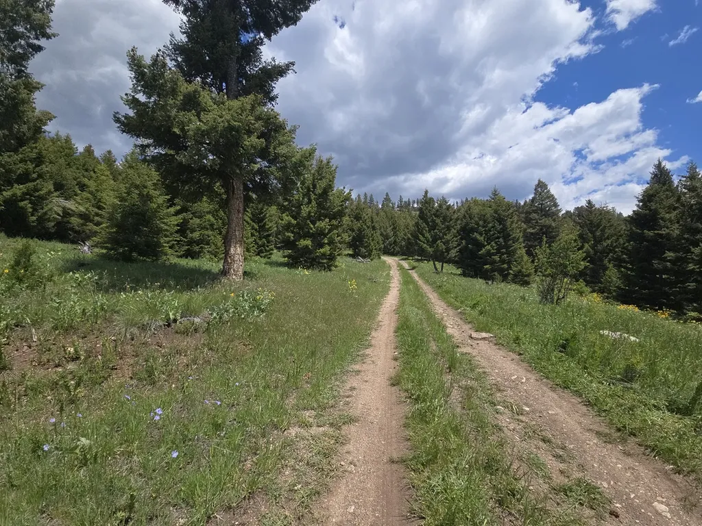 2 King Mount Road Drummond MT 59832