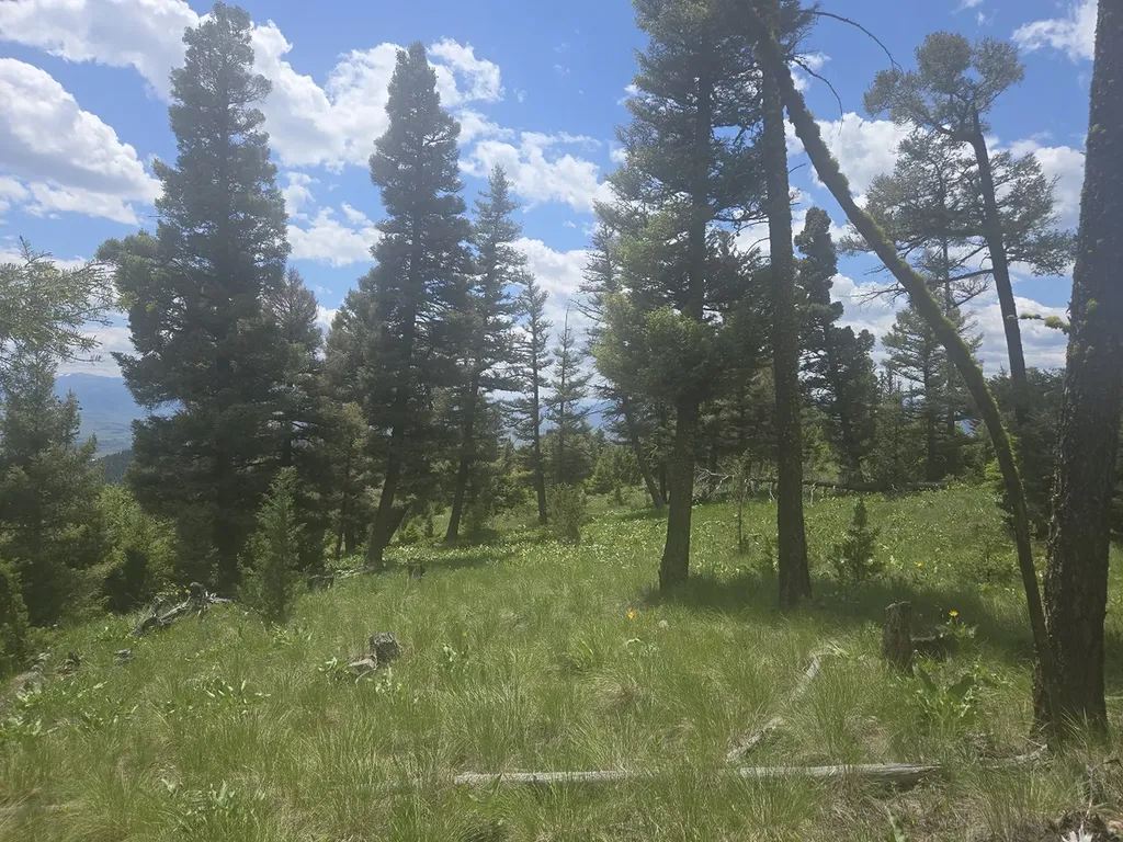 2 King Mount Road Drummond MT 59832