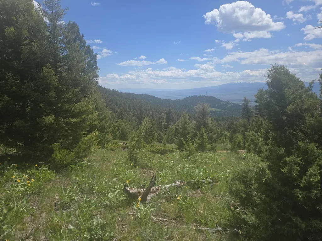 2 King Mount Road Drummond MT 59832