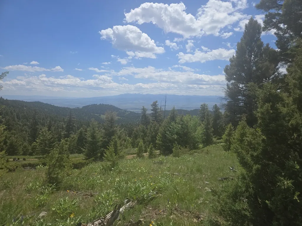 2 Big Sky Ridge Road Drummond MT 59832