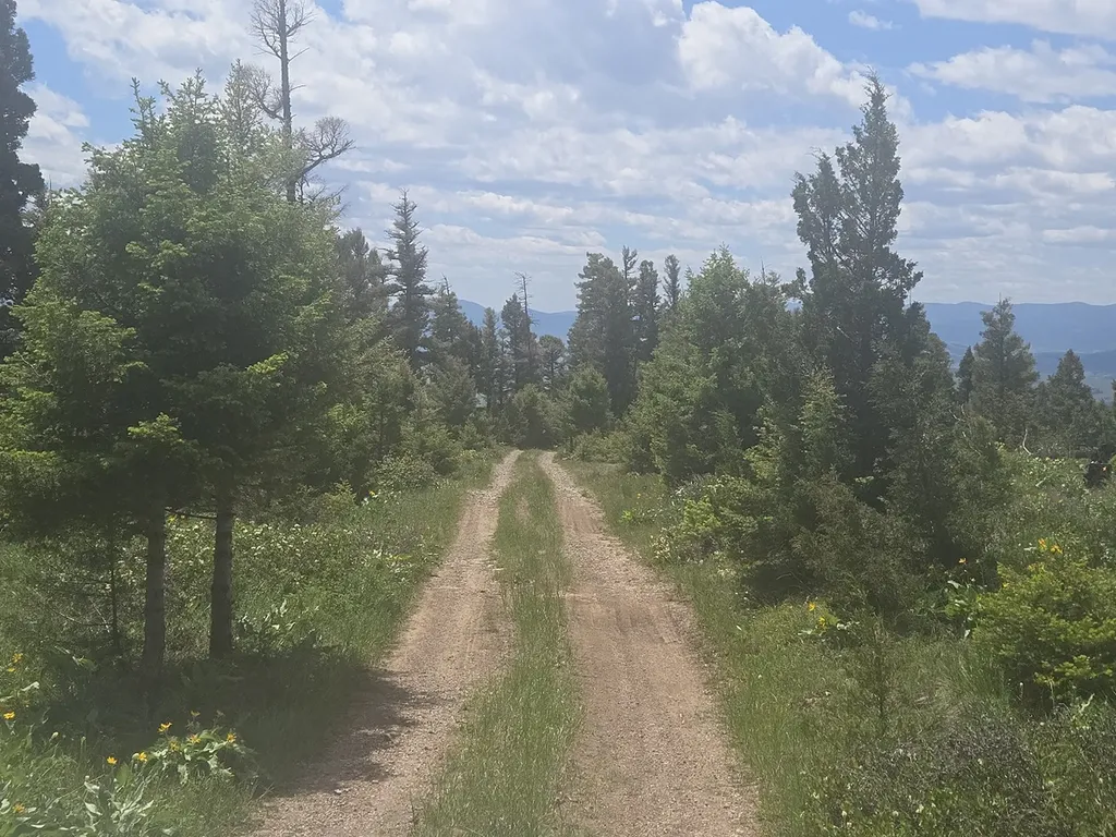 2 Big Sky Ridge Road Drummond MT 59832