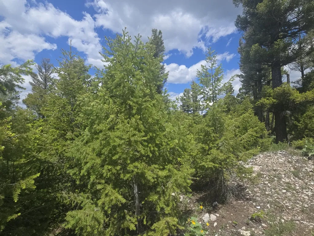 2 King Mount Road Drummond MT 59832