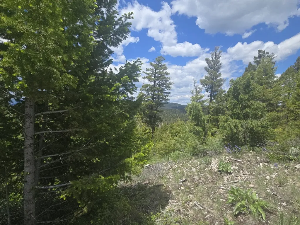 2 King Mount Road Drummond MT 59832