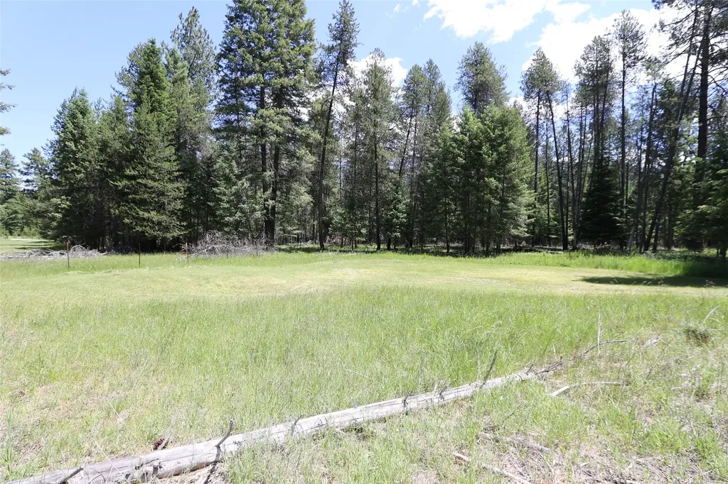 Nhn Lot 6 Graves Creek Road Thompson Falls MT 59873