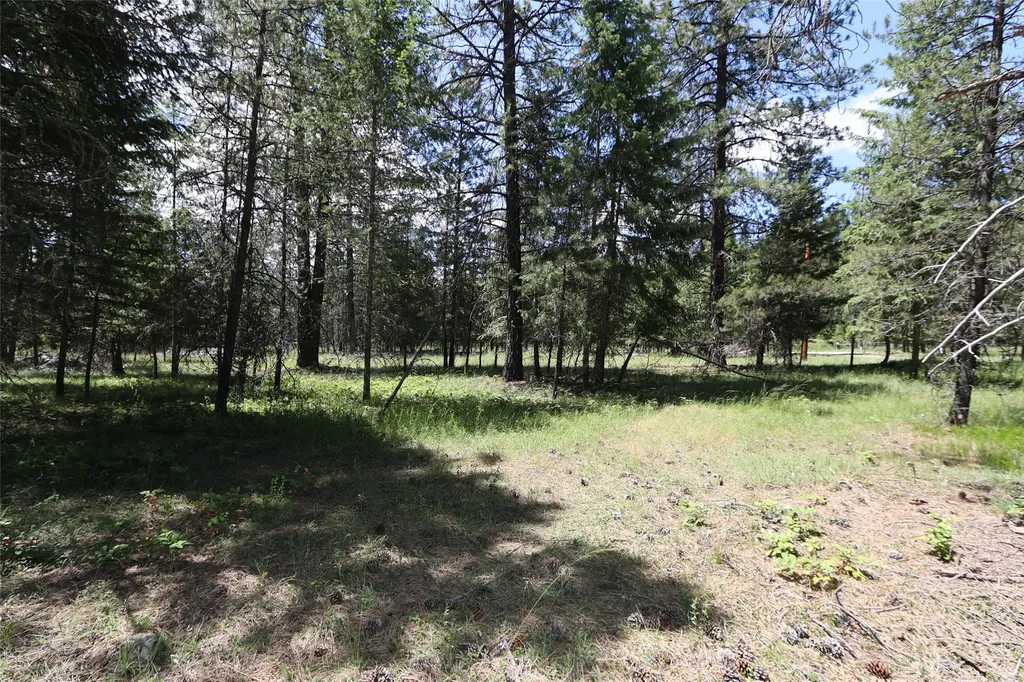 Nhn Lot 6 Graves Creek Road Thompson Falls MT 59873