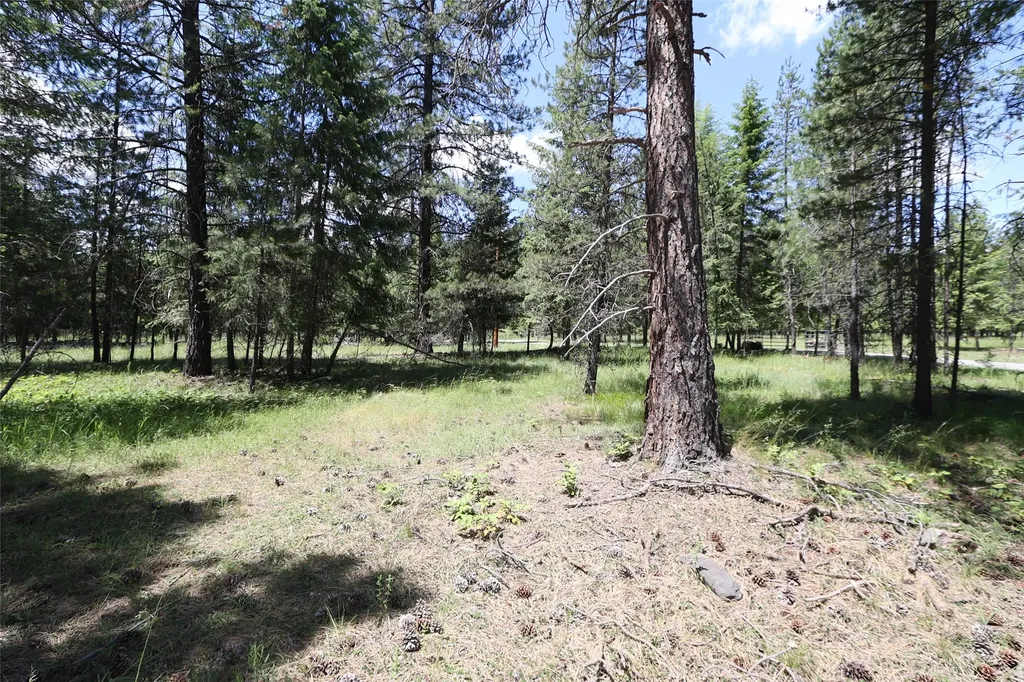 Nhn Lot 6 Graves Creek Road Thompson Falls MT 59873