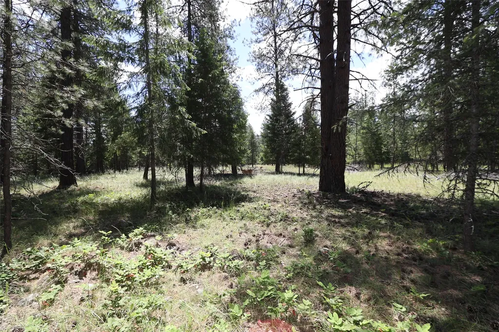 Nhn Lot 6 Graves Creek Road Thompson Falls MT 59873