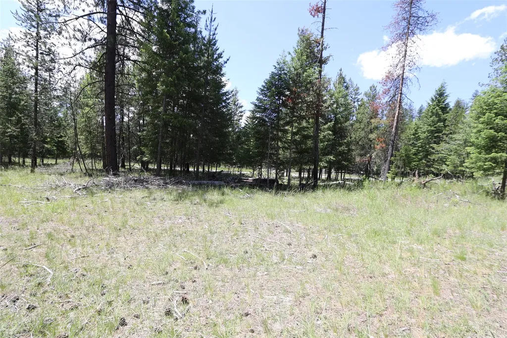 Nhn Lot 6 Graves Creek Road Thompson Falls MT 59873